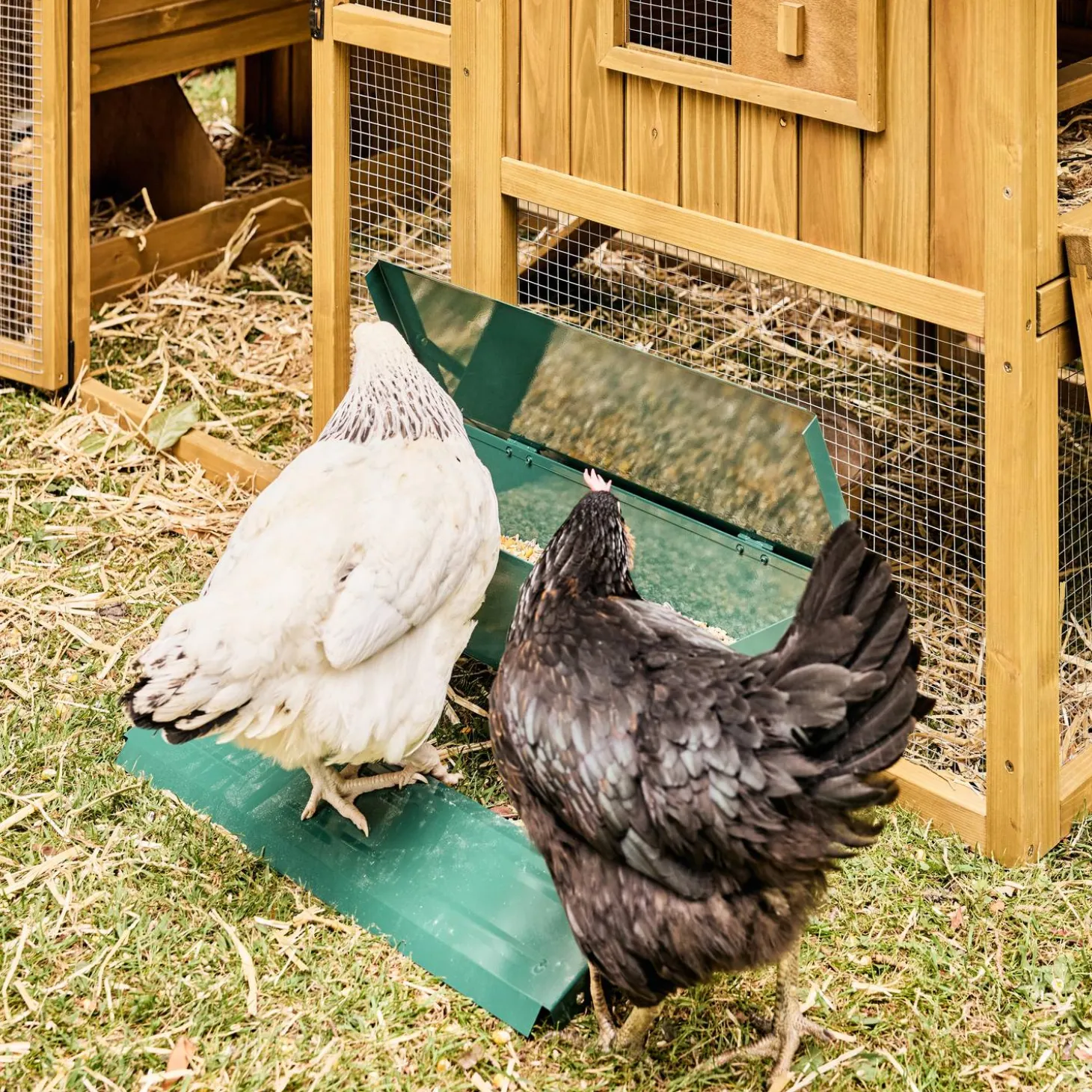 Automatic chicken feeder, 5kg
