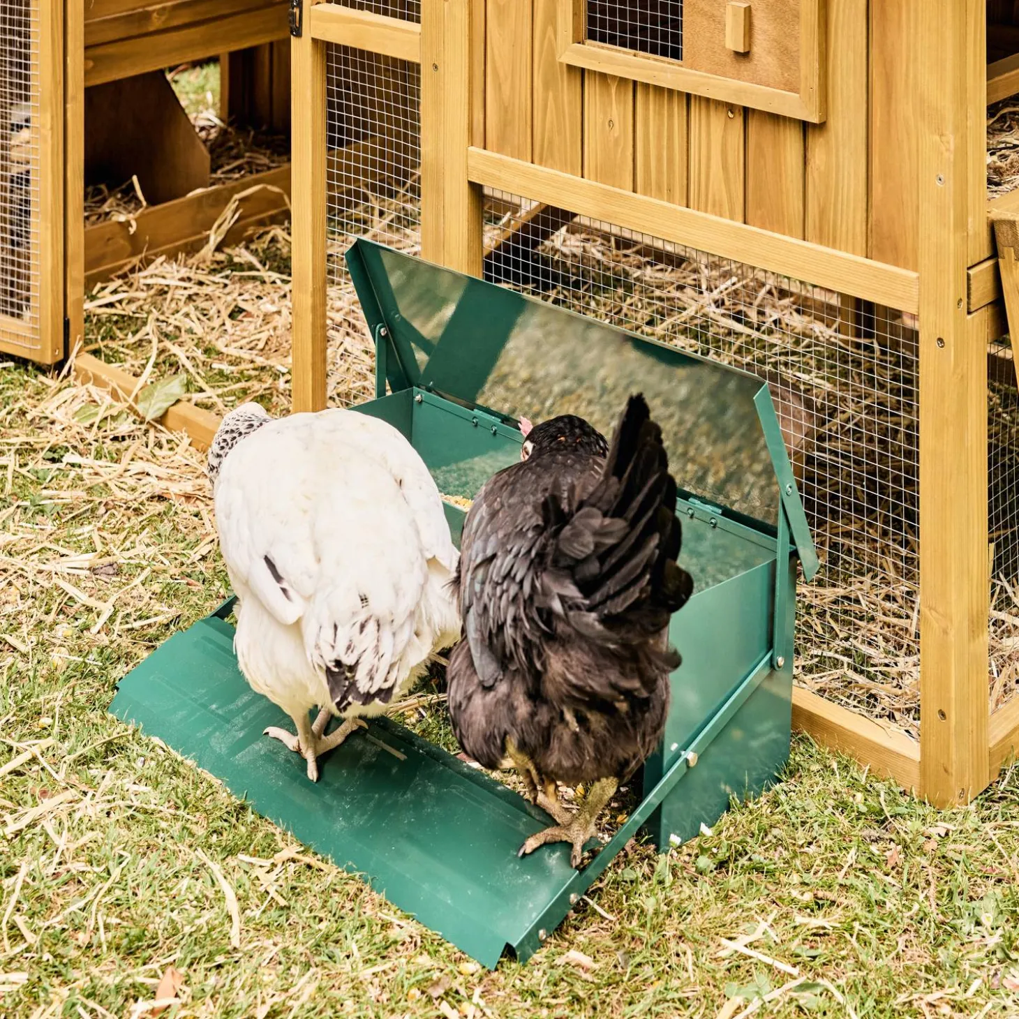 Automatic chicken feeder, 5kg