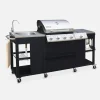 4-burner gas barbecue + 1 side burner, outdoor kitchen with sink