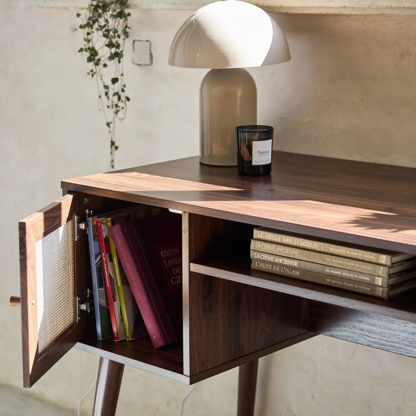 2-door desk with wood and cane effect