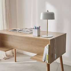 2-door desk with wood and cane effect