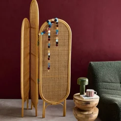 Folding indoor screen in rattan and cane