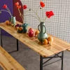 Folding reception table made of fir wood with 2 benches (set of 2)