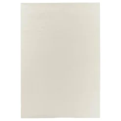 Indoor rug plain white