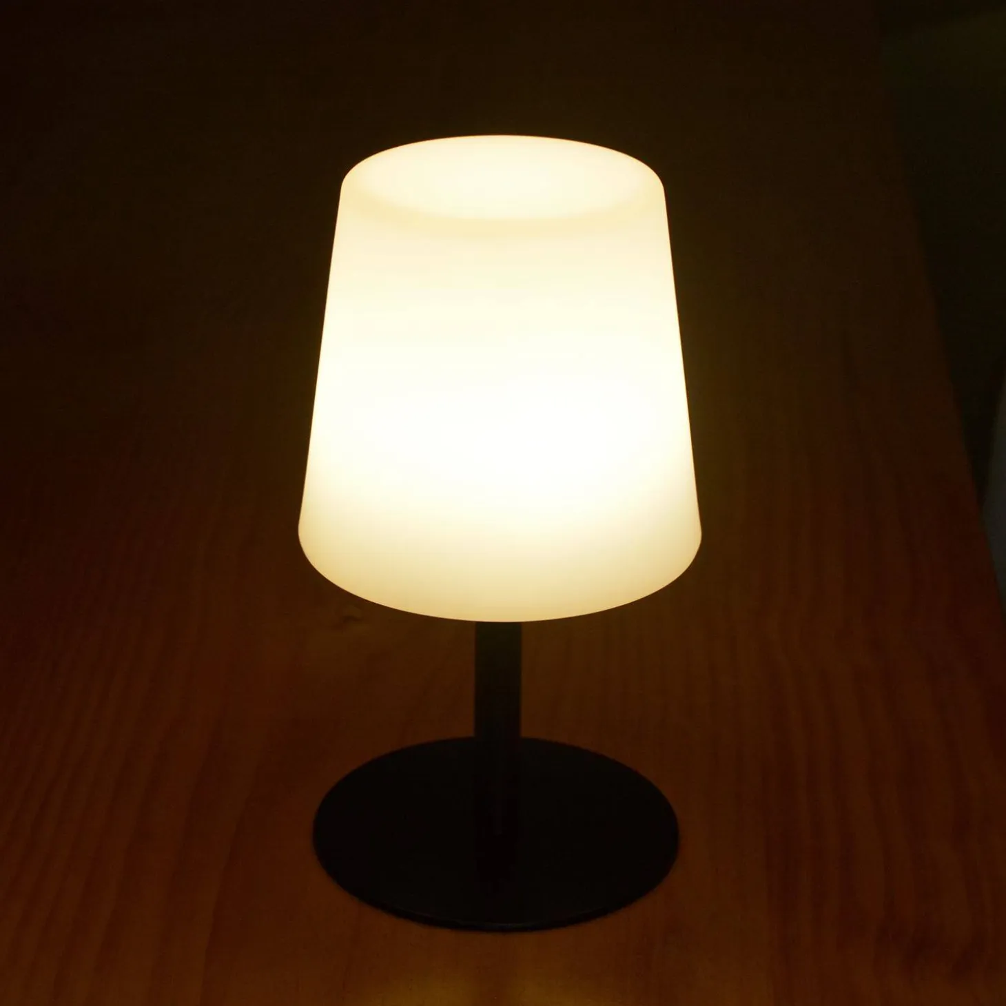 LED table lamp indoor/outdoor 16cm (set of 2)