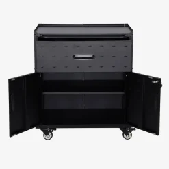 Low storage cabinet for garages with 1 drawer and 2 doors