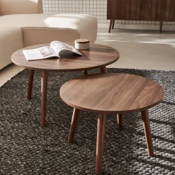 Pair of nesting coffee tables with wood effect