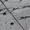 Trampoline cover