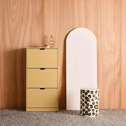 Wood Decor Shoe Cabinet with 3 Drawers